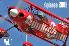 Biplanes 2008 Gallery One